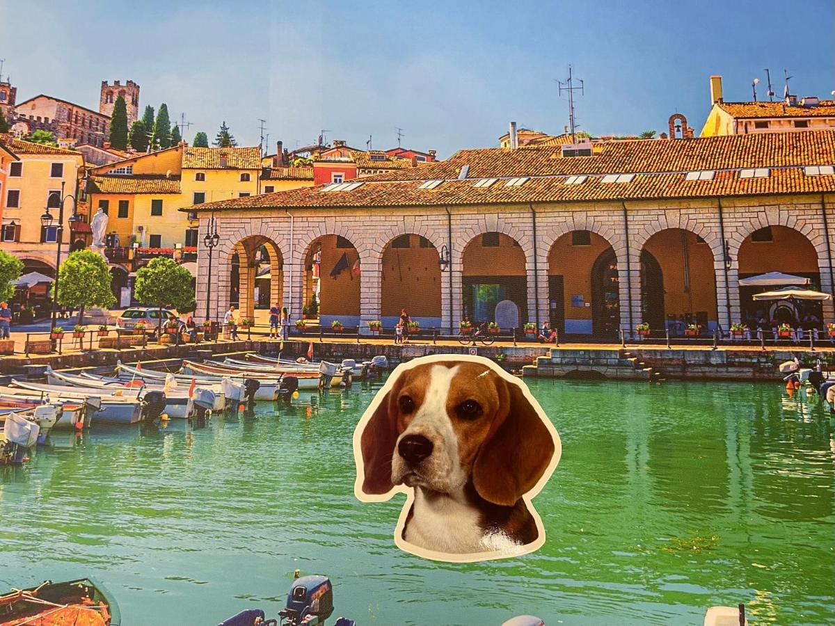 DesenzanoLoft Le Petit Bijou Desenzano Desenzano del Garda Eksteriør billede